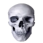 bs_skull