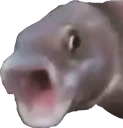 PogFish